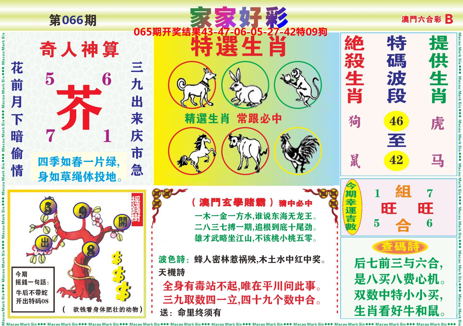 家家好彩B 第66期