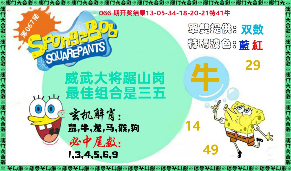 新特码玄机 第67期