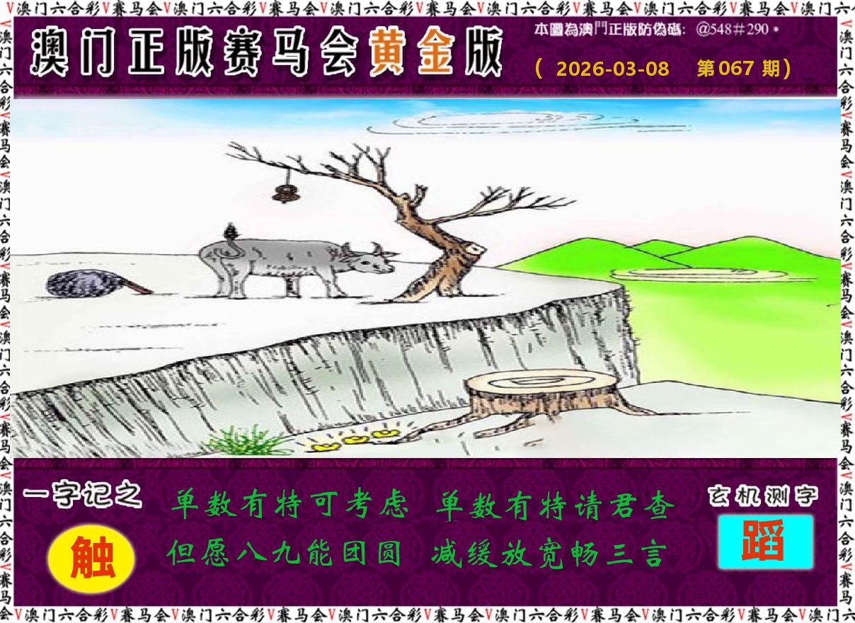 赛马会黄金版 第67期