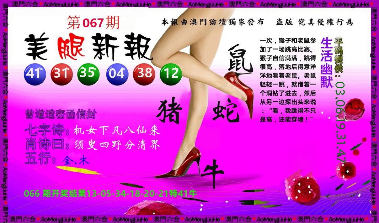 美腿新报 第67期