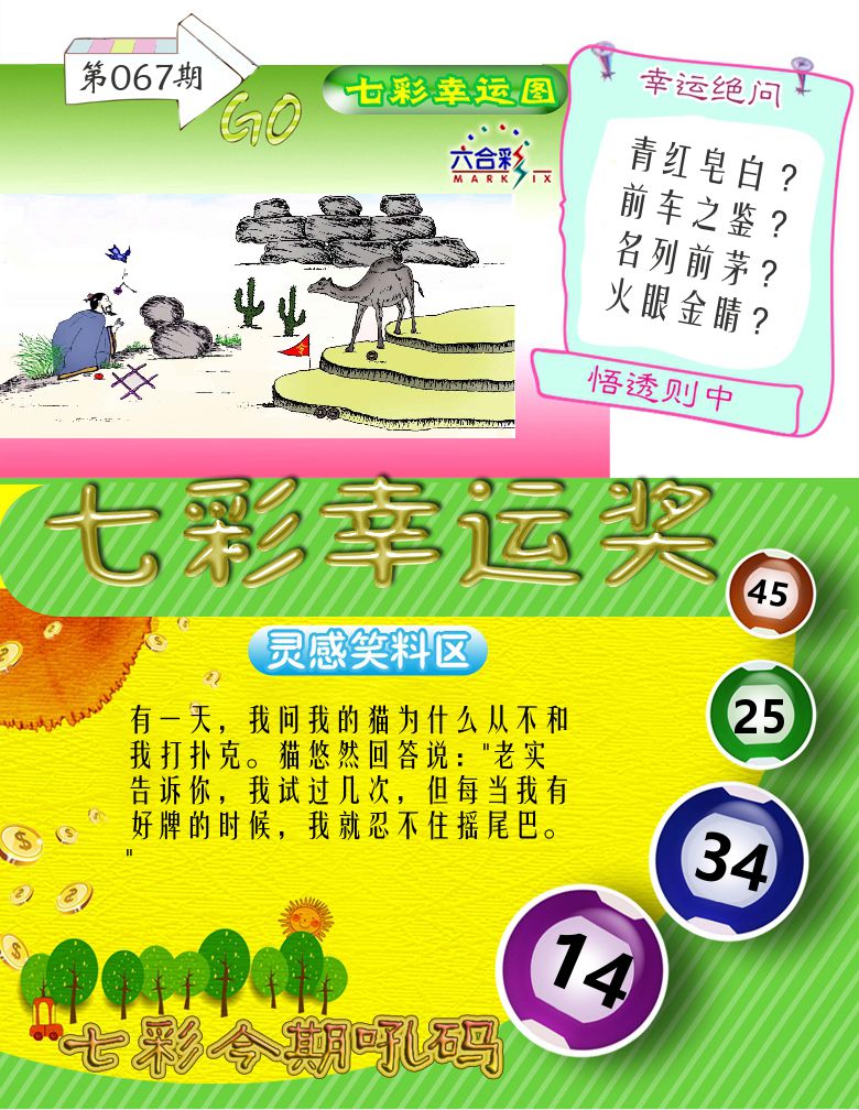 七彩幸运奖 第67期