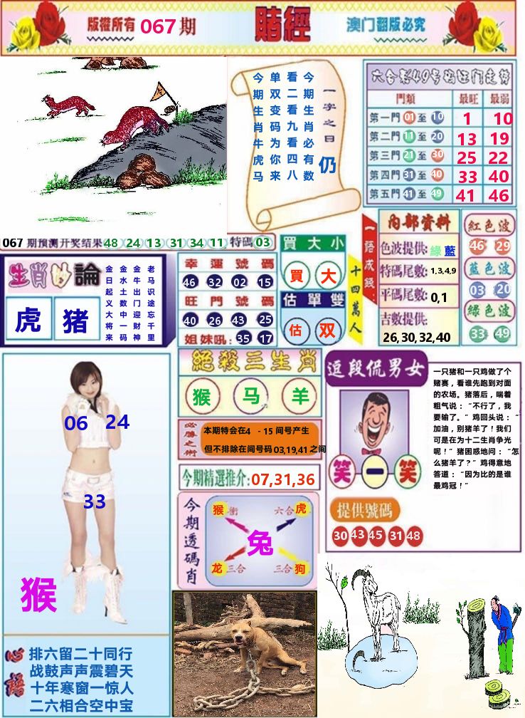 澳门赌经 第67期