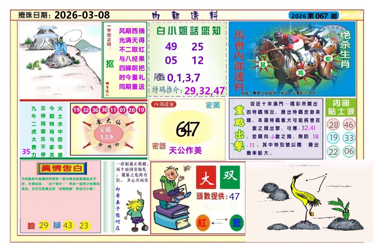 澳门内部透料A 第67期