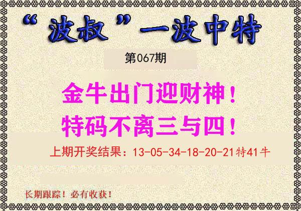 波叔中特 第67期