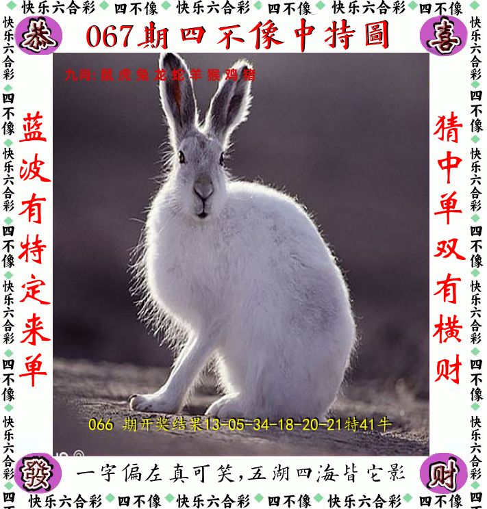 四不像 第67期
