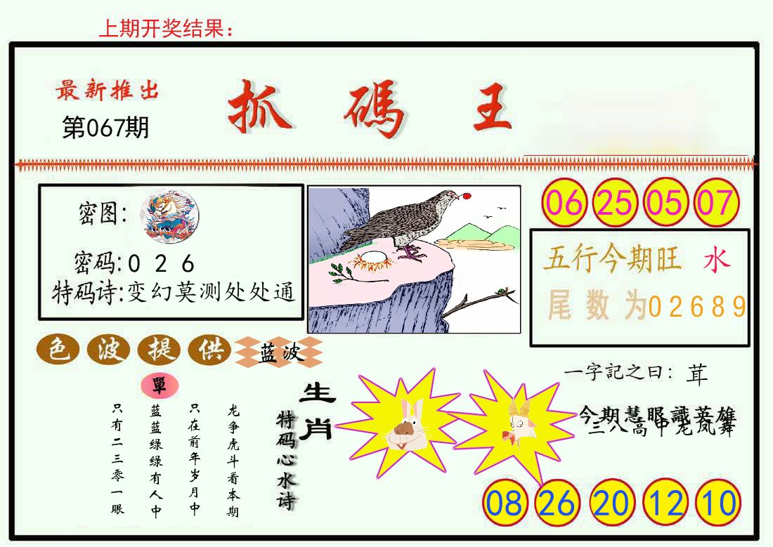 最新抓码王 第67期