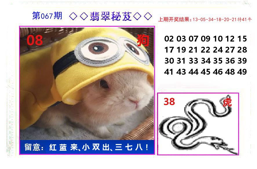 翡翠秘芨 第67期