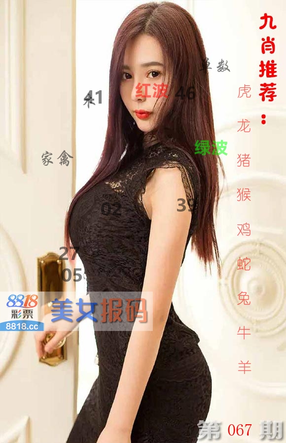 美女报码 第67期