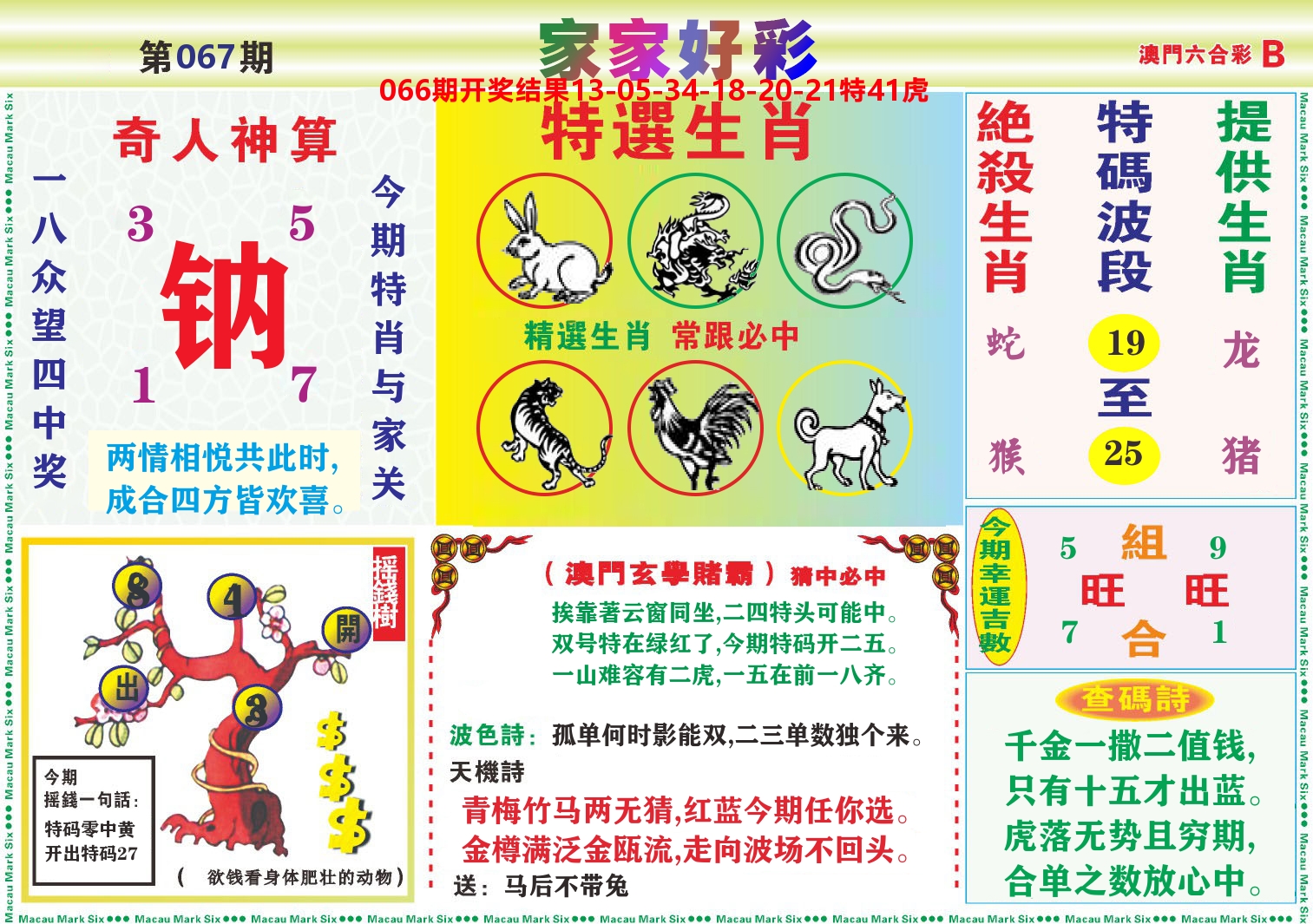家家好彩B 第67期