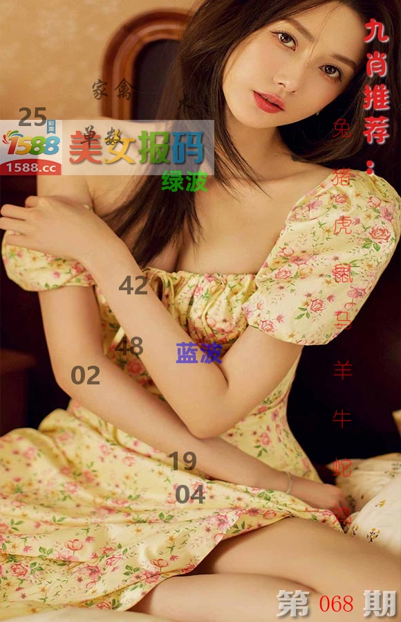 美女报码 第68期