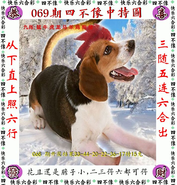 四不像 第69期