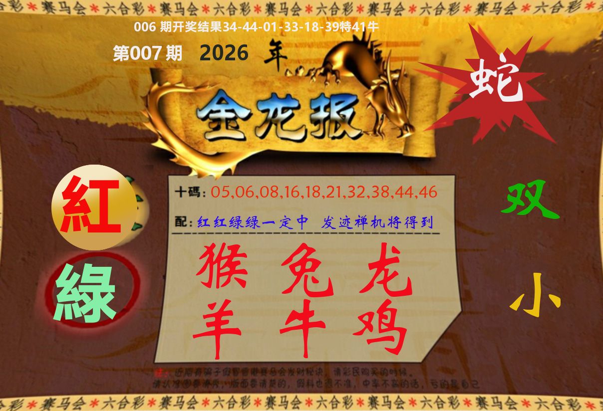 金龙报 第7期