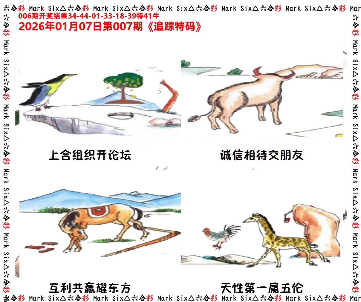 追踪特码 第7期