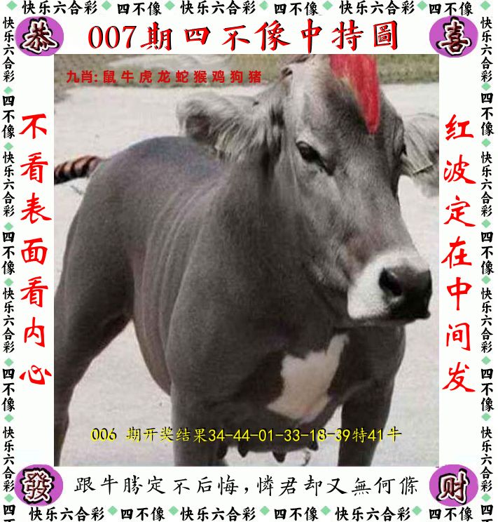 四不像 第7期