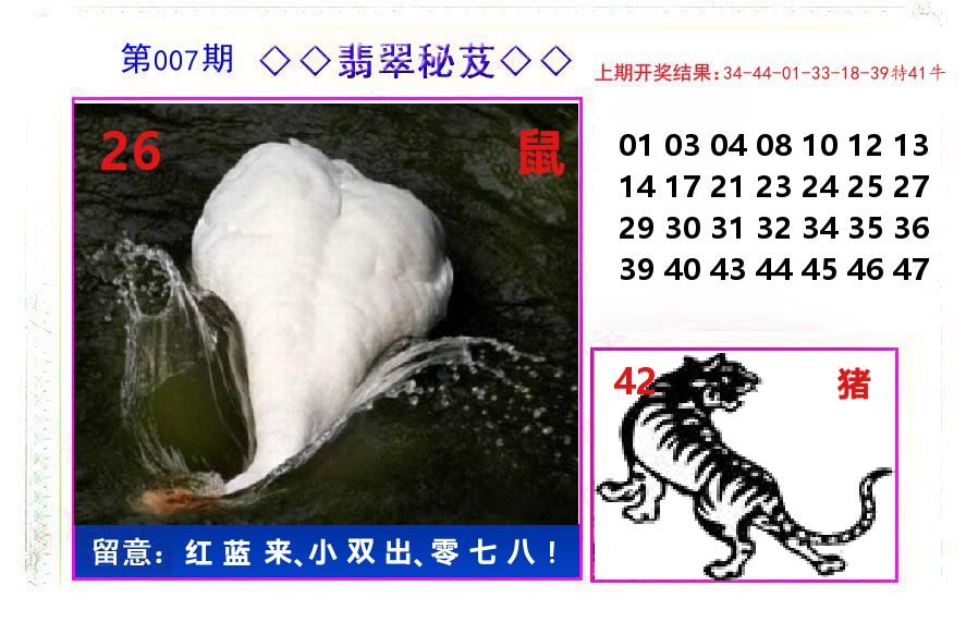 翡翠秘芨 第7期