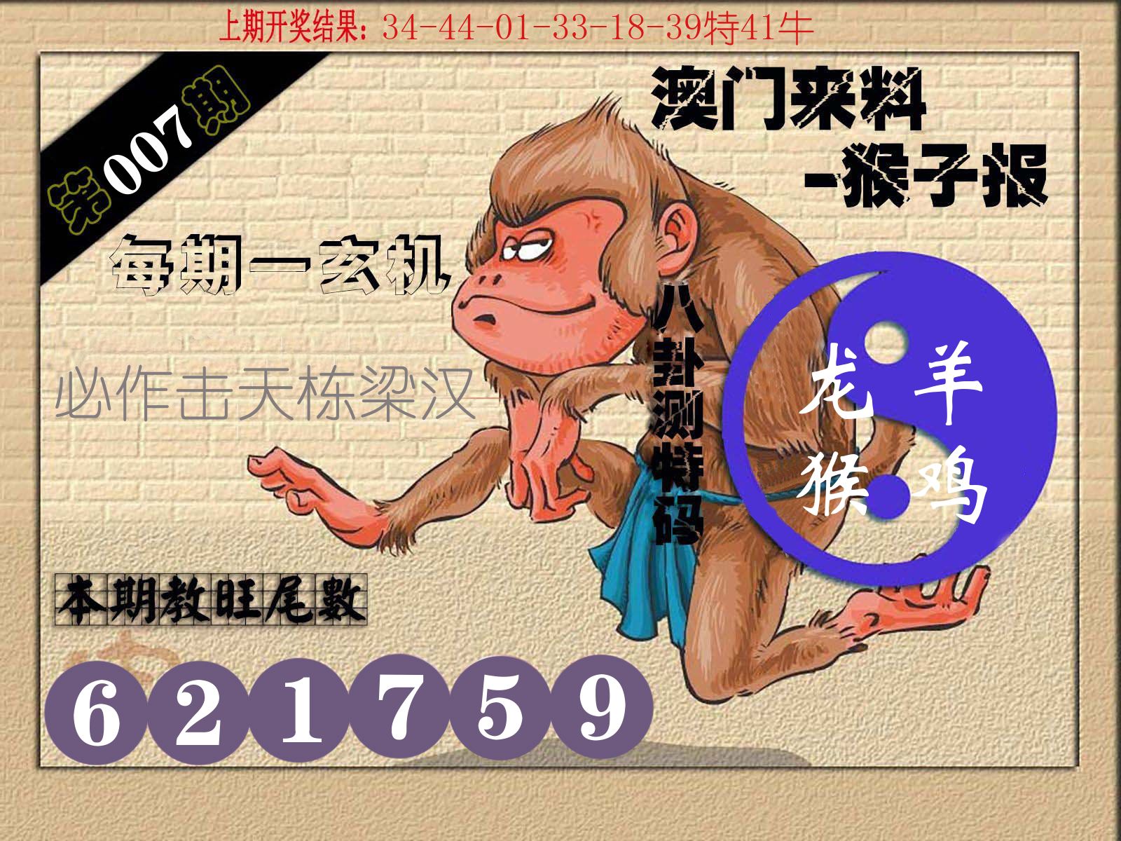猴子报 第7期