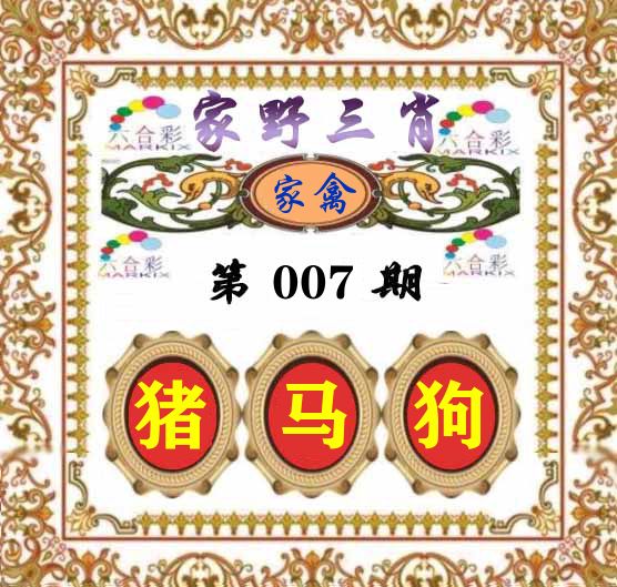 家野三肖 第7期