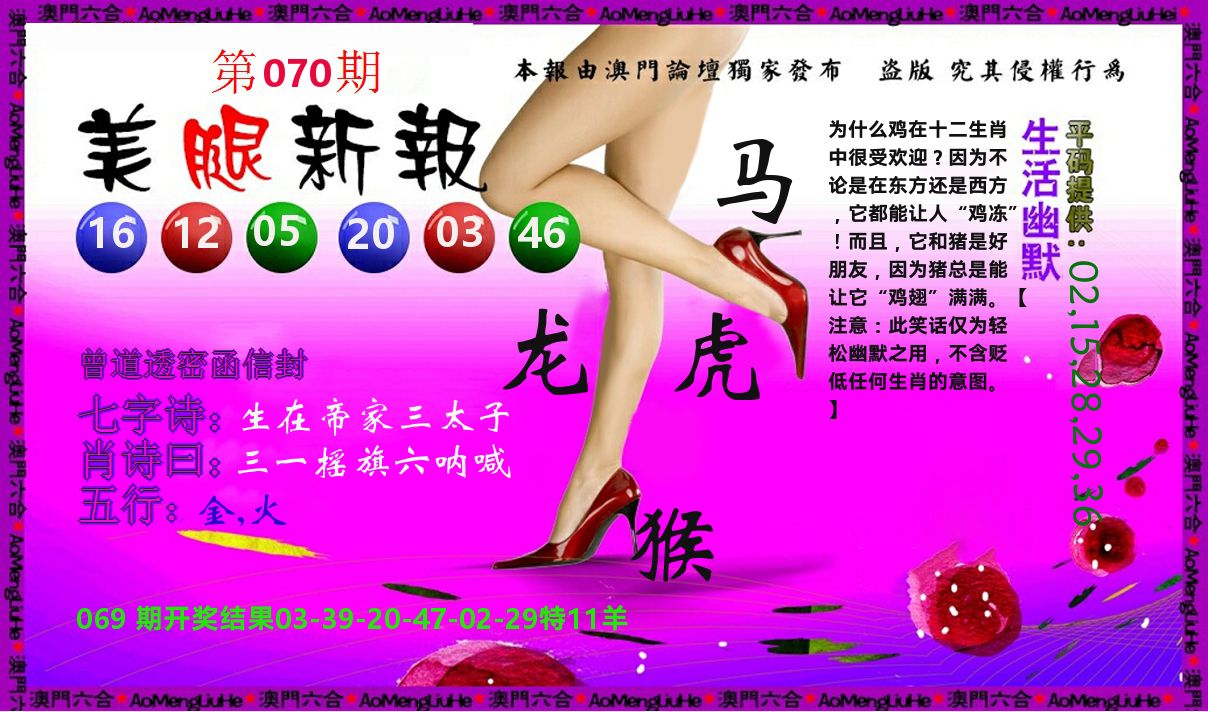 美腿新报 第70期