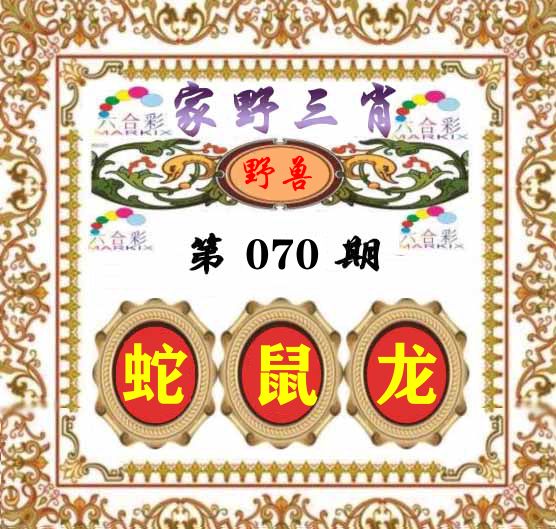 家野三肖 第70期