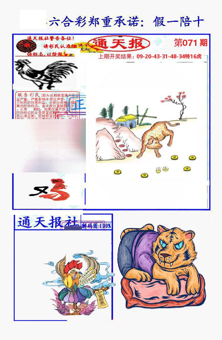 通天报 第71期