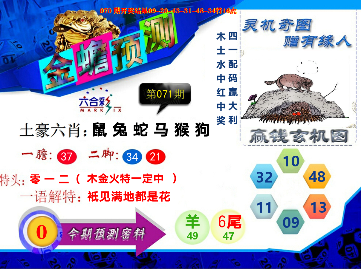 金蟾预测 第71期