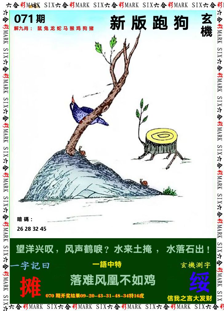 悟入其图 第71期