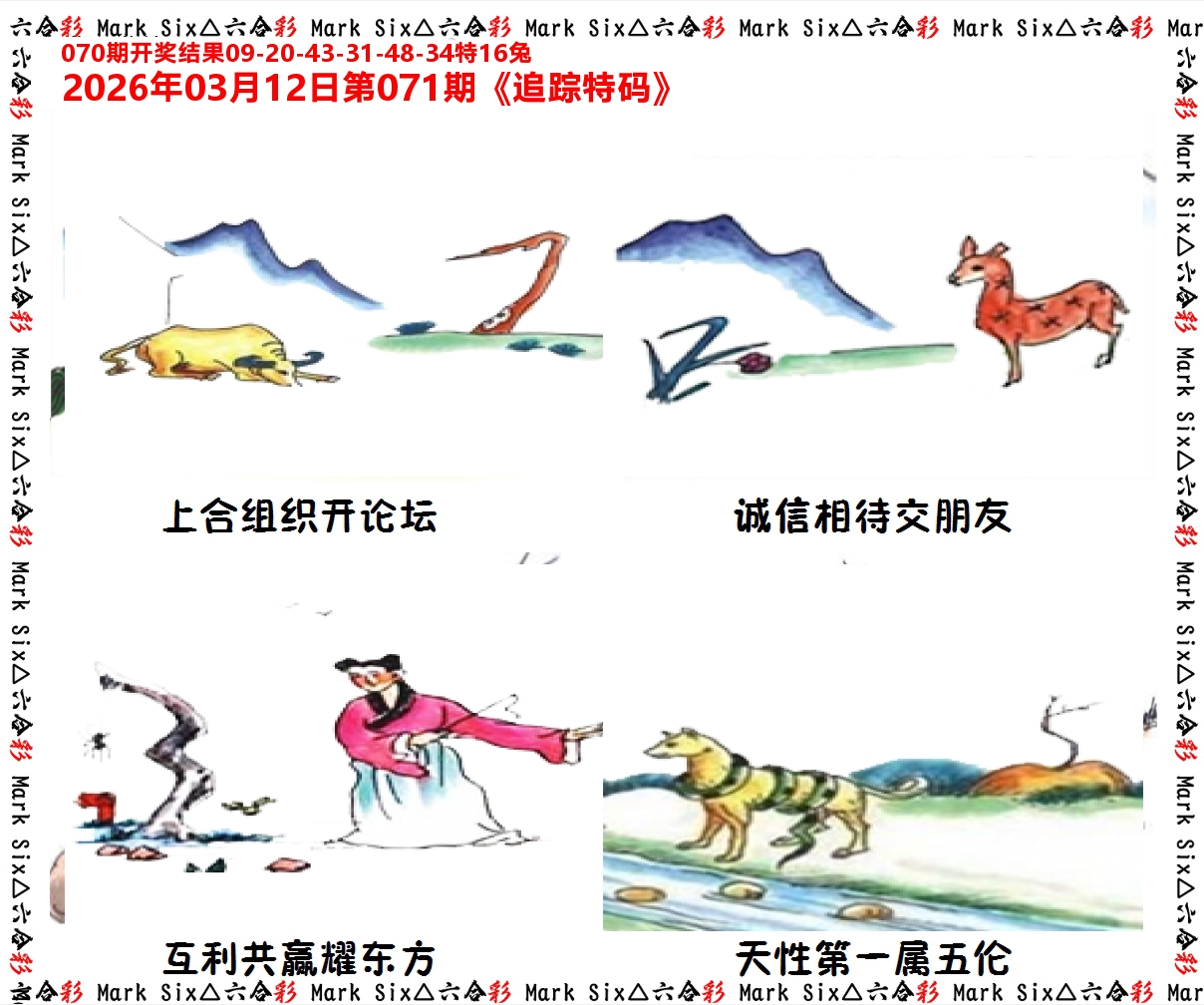 追踪特码 第71期