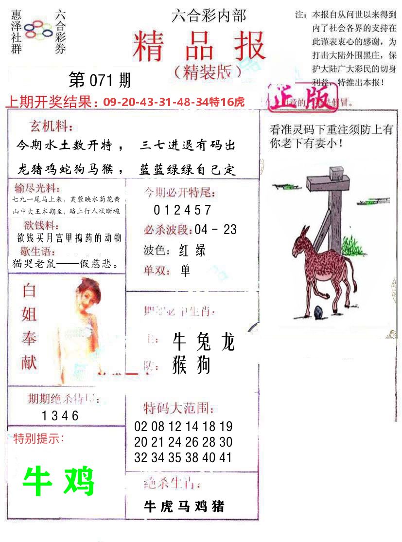 精品报 第71期