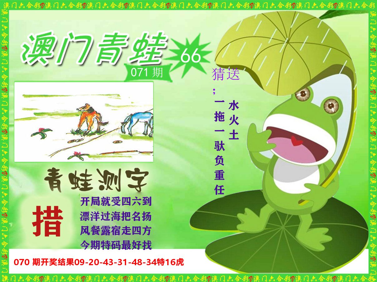 青蛙系列66 第71期