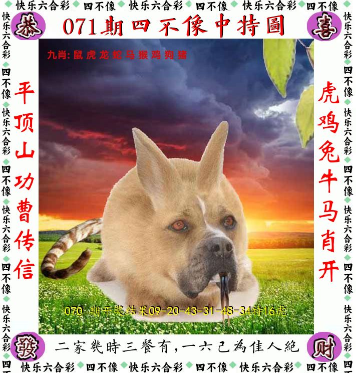 四不像 第71期