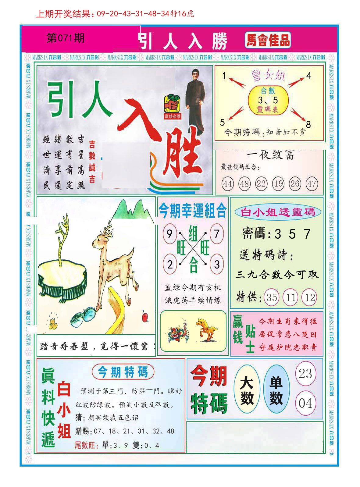 引人入胜 第71期