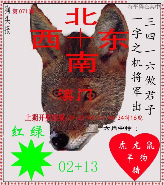 狗头报 第71期