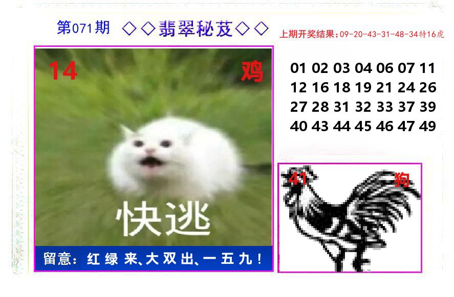 翡翠秘芨 第71期