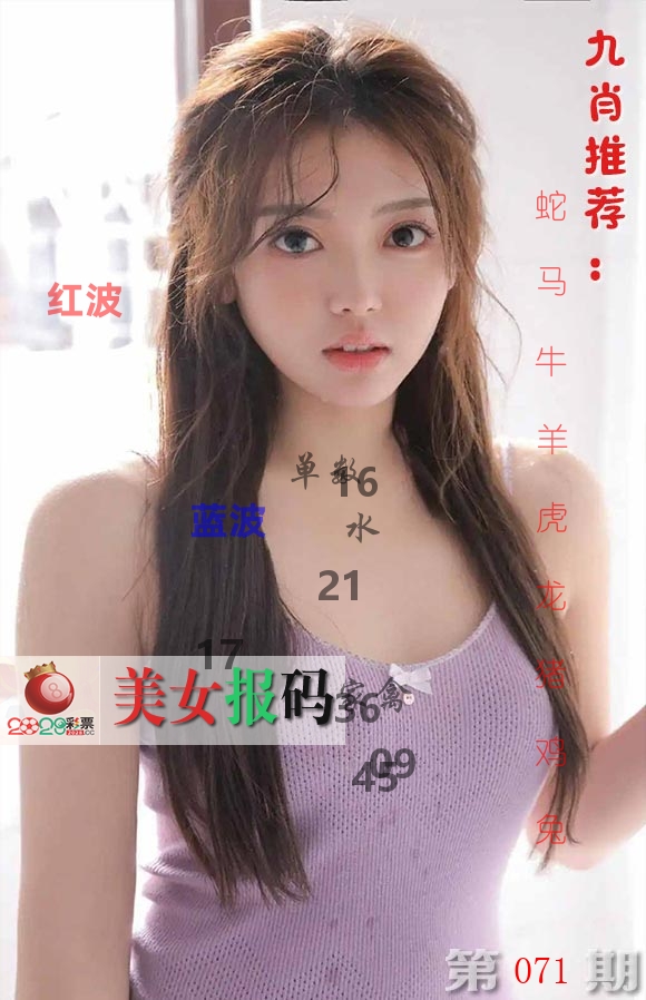 美女报码 第71期