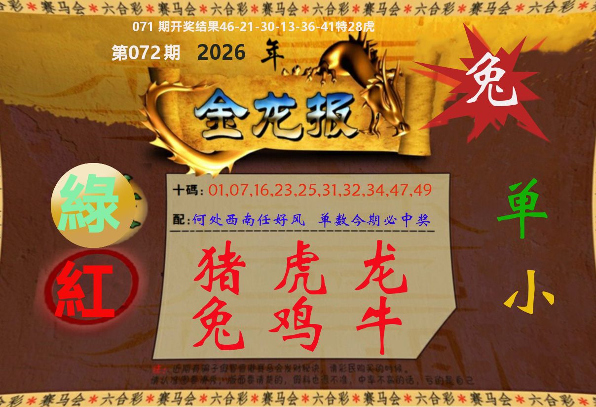 金龙报 第72期
