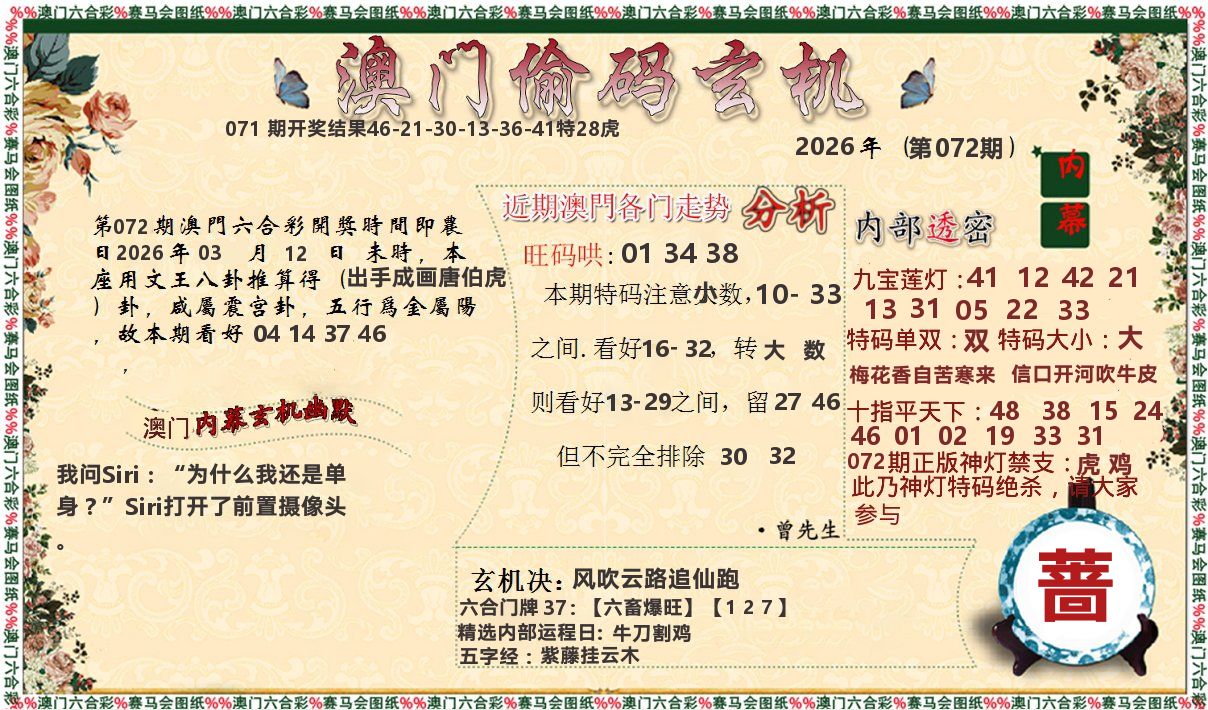 偷码玄机 第72期