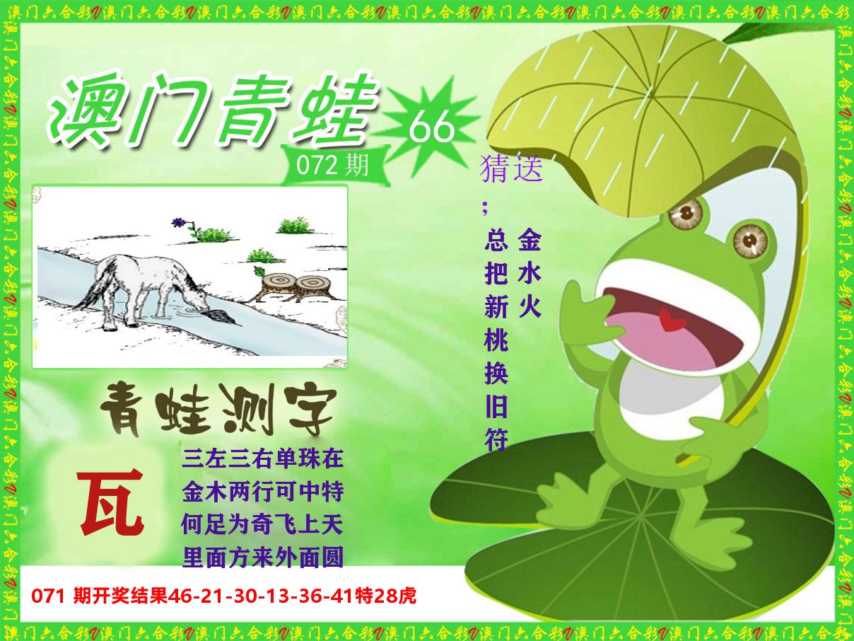 青蛙系列66 第72期