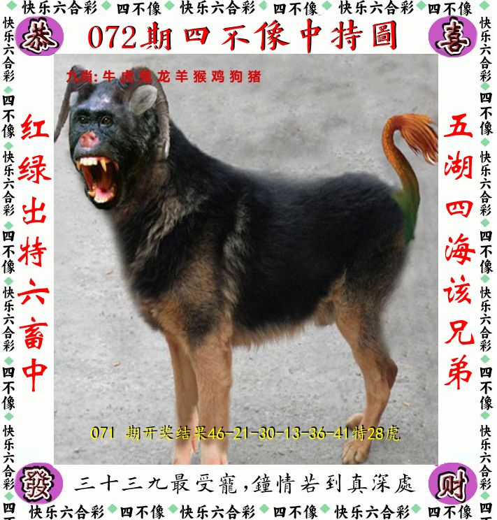 四不像 第72期