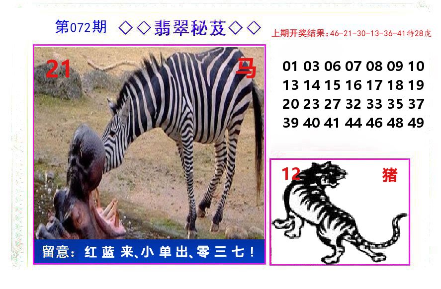翡翠秘芨 第72期