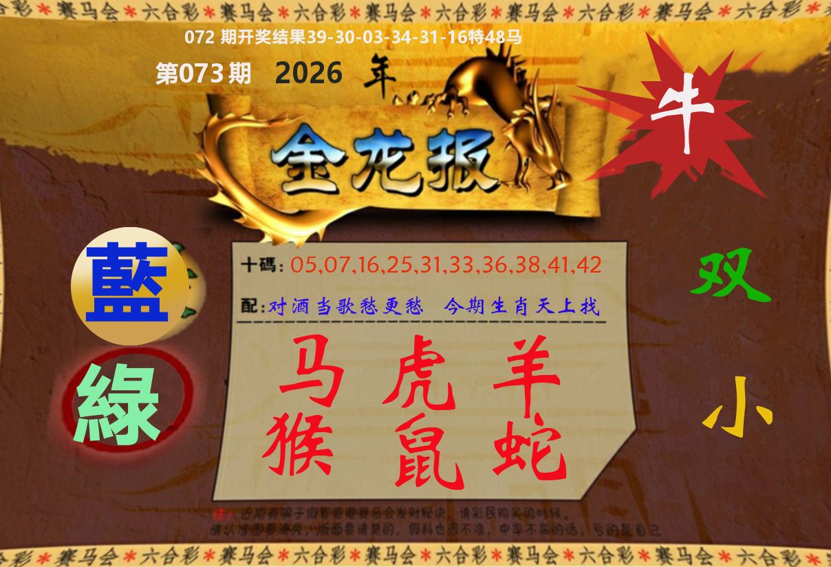金龙报 第73期
