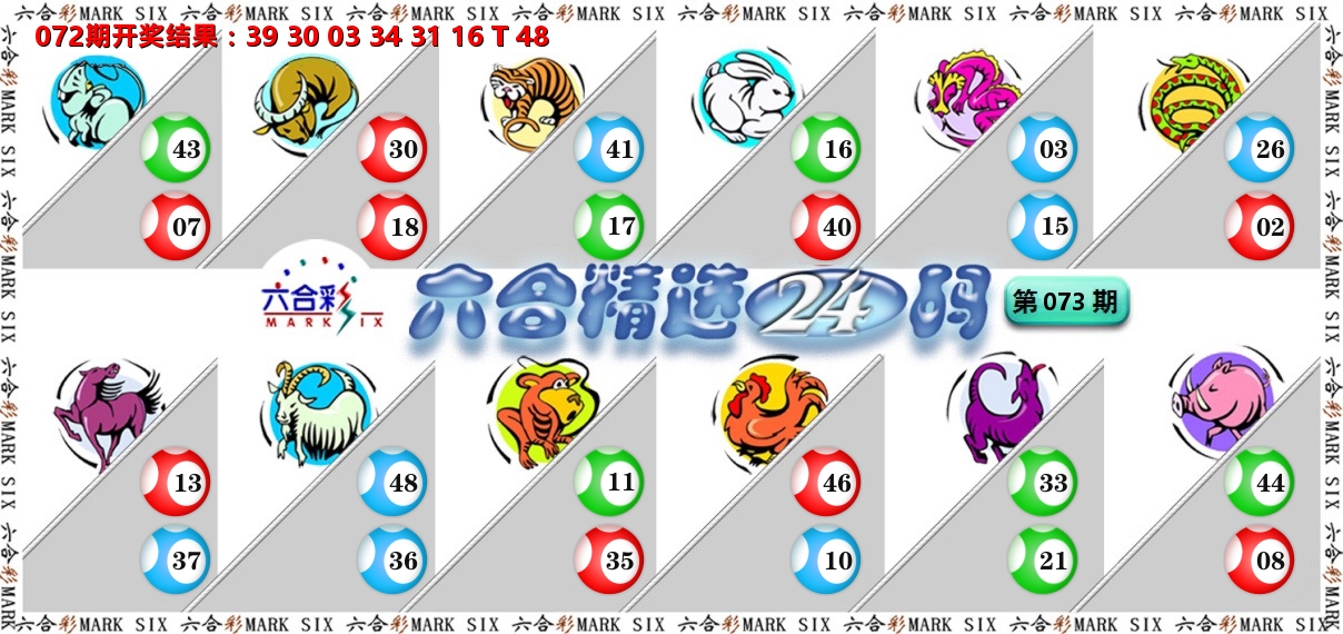六合精选24码 第73期