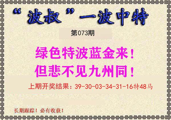 波叔中特 第73期