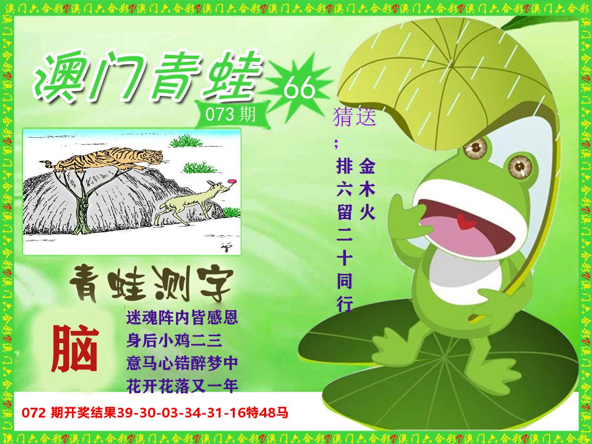 青蛙系列66 第73期