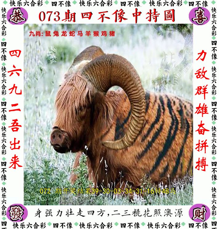 四不像 第73期
