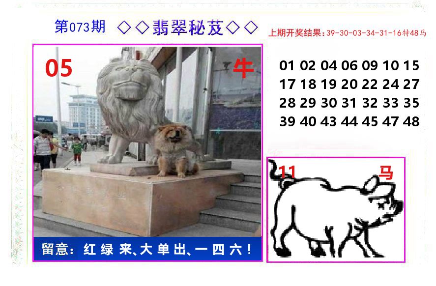 翡翠秘芨 第73期