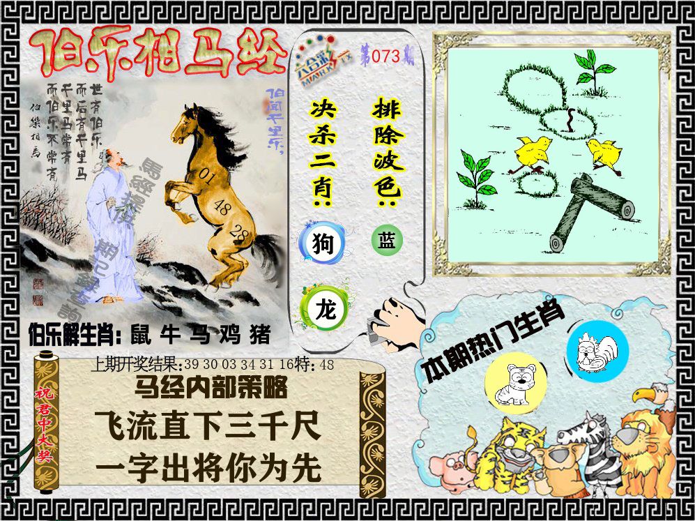 伯乐相马经 第73期