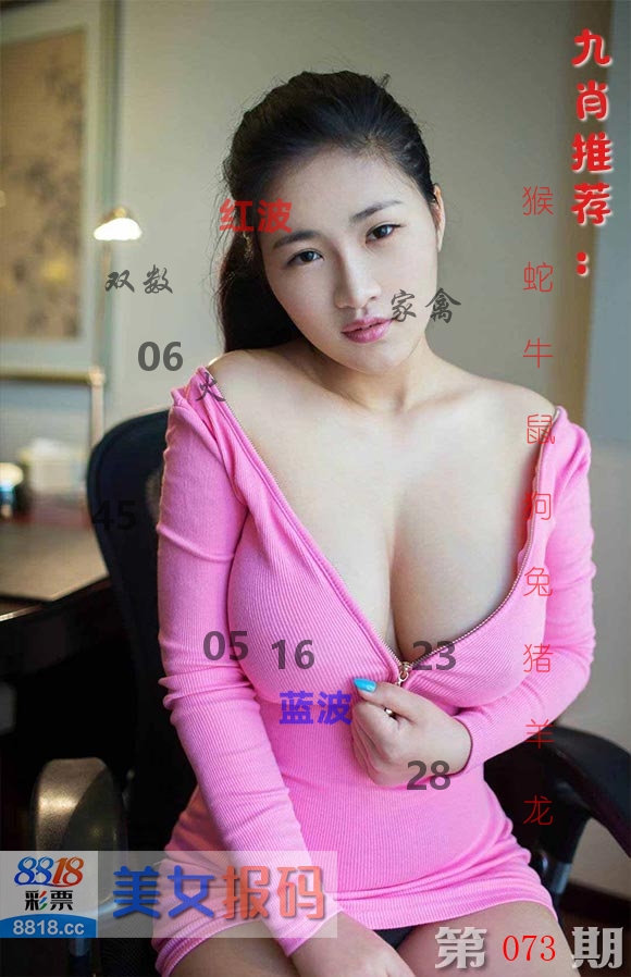 美女报码 第73期