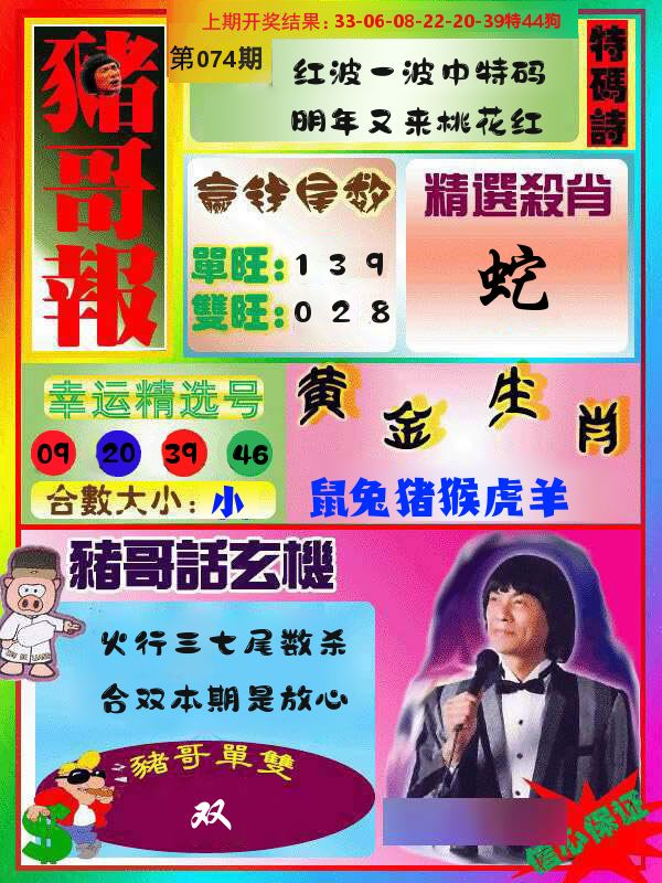 猪哥报 第74期