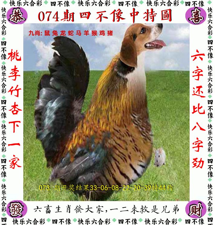 四不像 第74期