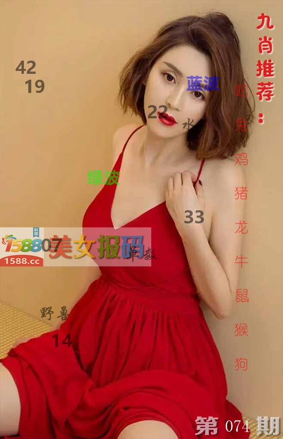美女报码 第74期